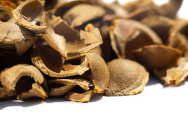 Kayısı çekirdeği. Üretim için ham maddeler. Doğal, sebze, fırça. Fırçanın bir parçası olan kayısı yağı doymamış asitler ve A, C, B ve F vitaminleri içerir. Bu da her tür cilt için çok yararlıdır..