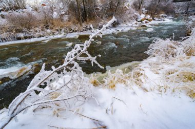 Nehir kışın donar. Yerel nehrimizle geçen kışın en sevdiğim kısmı sislerin süzülüp etraftaki ormanı kaplaması. Yumuşak, gizemli ama huzur verici bir yer yaratıyor..