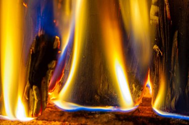 Şöminede yangın var. Peynir ve şarap klasik bir kombinasyon. Alevli şömineyi de yakarsan, hayatındaki güzel şeylerle dolu harika, rahat bir akşam geçirirsin.!