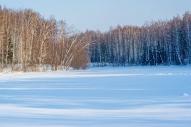 Doğa aşıkları, huş ağaçlarıyla çevrili donmuş gölün güzelliğinin tadını çıkarabilirler. Karla kaplı manzaraların sakinliğini ve sükunetini hissedin. Kış sporları için ideal bir yer.,