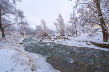 Nehir kışın donar. Kış beni düşündürüyor. Güneş daha sonra doğup daha erken batarken nehirde geçirebileceğiniz saatler kısalıyor..