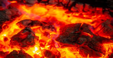 Şöminede yangın var. Yaşlanmış ahşap harika kokuyor, eğer onu yakacaksanız, dumanlı, misk kokulu odunları seçin. Çevreye olan sevginizi göstermek için fırınlanmış kütükleri kullanın.