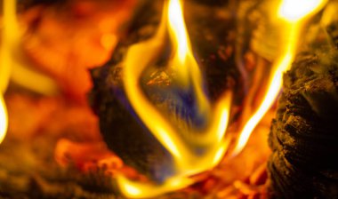 Şöminede yangın var. Çekici birini bulduğumuzda, gözbebeklerimiz büyür ve diğer kişiye bilinçaltı işareti göndeririz. Kamp ateşinin sıcacık ışığında, gözbebeklerimiz doğal olarak büyür..