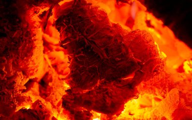 Şöminede yangın var. Çekici birini bulduğumuzda, gözbebeklerimiz büyür ve diğer kişiye bilinçaltı işareti göndeririz. Kamp ateşinin sıcacık ışığında, gözbebeklerimiz doğal olarak büyür..