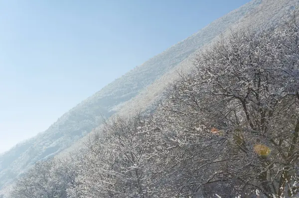 Dağlar. Kış. Biraz önyargılı olabilirim ama kışın dağlardan daha romantik yerler olduğunu sanmıyorum. Karla kaplanmış, bunlar görkemli zirveler, tadını çıkarmanız için..