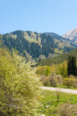 İlkbahar dağlarda Dağların ihtişamı tüm yıl boyunca sihirlidir. İlkbaharda çiçek açan bahar mevsiminde yemyeşil patikalar sonbaharda alevli yapraklar ve karla kaplı zirveler.