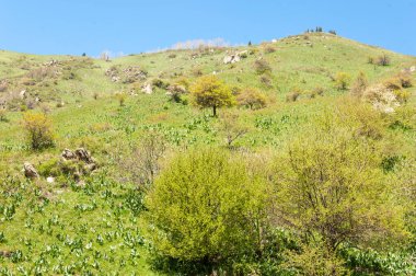 İlkbahar dağlarda Dağların ihtişamı tüm yıl boyunca sihirlidir. İlkbaharda çiçek açan bahar mevsiminde yemyeşil patikalar sonbaharda alevli yapraklar ve karla kaplı zirveler.