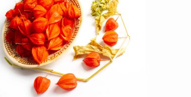 Physalis sidik torbası kirazı, Çin feneri, Japon feneri, Çilek Çileği, Japonya, parlak ve fener benzeri meyve kapları Bon festivalinin geleneksel bir bölümünü oluşturur.