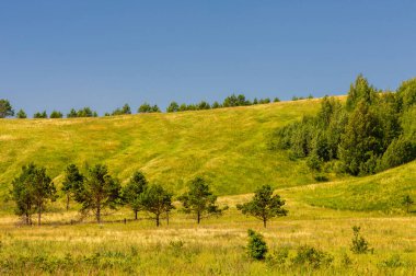 Yaz manzarası, nehir taşkınları, pitoresk kıyılar, kır çiçekli parlak yeşil çimenler, beyaz bulutlu mavi gökyüzü, ılık yaz günleri.,