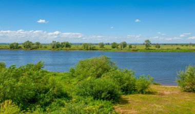 Yaz manzarası, nehir taşkınları, pitoresk kıyılar, kır çiçekli parlak yeşil çimenler, beyaz bulutlu mavi gökyüzü, ılık yaz günleri.,