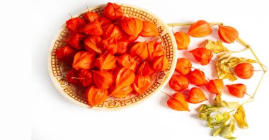 Physalis sidik torbası kirazı, Çin feneri, Japon feneri, Çilek Çileği, Japonya, parlak ve fener benzeri meyve kapları Bon festivalinin geleneksel bir bölümünü oluşturur.