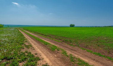 Bahar, buğday tarlalarındaki toprak yol. Hareket ve iletişim için tasarlanmış şerit