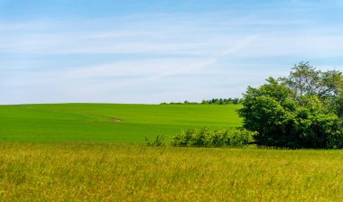 Yaz manzarası, biçilmiş tarlalar biçilmiş tarlalar, biçilmiş yoncalar.