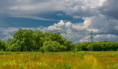 Yaz, gök gürültülü bulutlar, mavi gökyüzü, sel basmış çayır tarlaları, yaz renklerinin kokusu ve çeşitli kır çiçekleri.