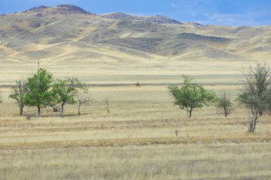 Çayır, sade batan güneşle yayılan çöl arasındaki büyüleyici dansı izlemek kelimelere dökülemeyecek bir dünya dışı deneyim yaratır. Çölün Sihirli Titreşimleri