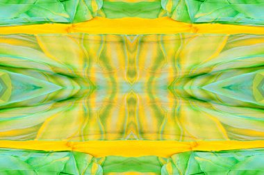 Kusursuz kaleydoskop. Kumaş ipek yeşil-mavi gözlükler. Canlı renkler ve deniz tarağı şekilleri, sarı, mavi ve yeşil geometrik ipek krep de chine renginde gerçekten eşsiz bir krep oluşturur..