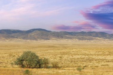 Steppe, çayır, güneş battığında ve gökyüzünü nefes kesen renklerle boyadığında doğanın yüksek tuval ile çevrili çarpıcı bir çölün ortasında olduğunu bilirsin.