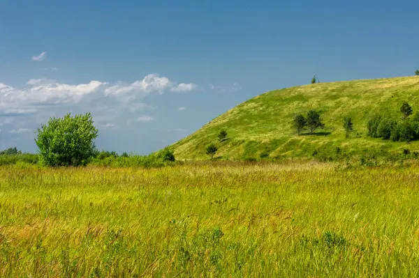 Yaz manzarası, nehir taşkınları, pitoresk kıyılar, kır çiçekli parlak yeşil çimenler, beyaz bulutlu mavi gökyüzü, ılık yaz günleri.,