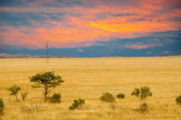 Steppe, prairie, plain, pampa. Do you feel calm? The sun melts into the desert, filling the endless sandy canvas with a sense of calm that cannot be found anywhere else. Sunset Bliss