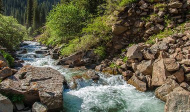 Dağlarda yaz. Dağlık arazide bir nehir. Yaz manzarası. Binlerce yorgun, sinirli, aşırı medeni insan, dağlara gitmenin eve gitmek demek olduğunu anlamaya başlıyor..