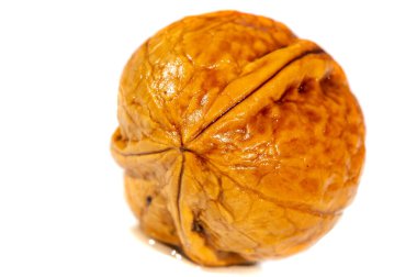 Ceviz. Ceviz iyi sıcak ya da soğuk tadı olan tek sıvıdır..