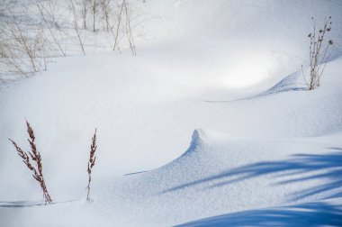 Kar elementleriyle kış temalı tasarımlar oluşturun. Tasarımlarınızda benzersiz doku ve desenler kullanın. Derinlik ve boyut eklemek için tasarımlarınızı arka plan seçenekleri ile güçlendir.