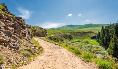 Dağlarda yaz. Yol dağlık arazide uzanıyordu. Hiçbir dağ bana yaklaşamadı. Bu yüzden hep onlara gidiyorum.