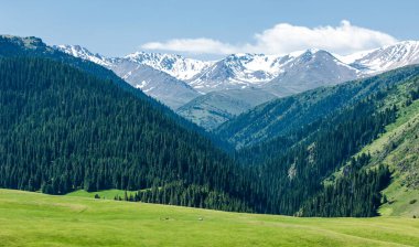 Dağlarda yaz. Dağlar hem bir yolculuk hem de bir hedeftir. Bizi yamaçlarına tırmanmaya, kanyonlarını keşfetmeye ve zirvelerine tırmanmaya zorluyorlar..