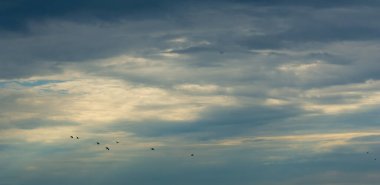 Gökyüzü, bulutlar hayatıma yağmur veya fırtına getirmek için değil günbatımı gökyüzüne renk katmak için giriyor. Güneş her zaman bulutların üzerinde parlar.