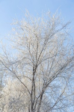 Dağlar. Kış. Güzel dağlara ve güzel kış manzaralarına bakmaktan daha romantik bir şey yoktur! Bu muhteşem manzaralar nefes kesici bir kar tabakasıyla kaplıdır..