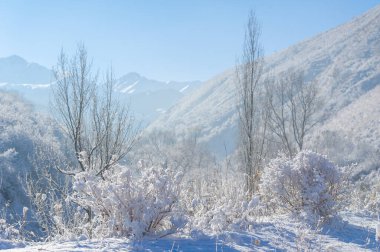 Dağlar. Kış. Yaygara yok, teslim tarihi yok, sadece huzur ve rahatlama. Derin karla kaplı ormanlar, sert ağaçlar ve çalılar, karla kaplı ağaçların beyaz tepeleri