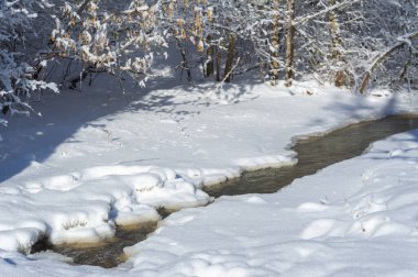 Nehir kışın donar. Yerel nehrimizle geçen kışın en sevdiğim kısmı sislerin süzülüp etraftaki ormanı kaplaması. Yumuşak, gizemli ama huzur verici bir yer yaratıyor..