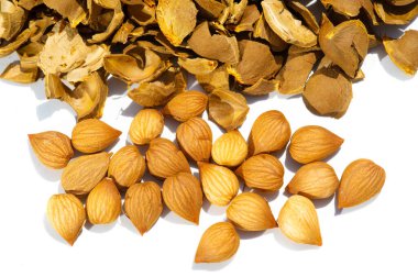 Kayısı çekirdeği. Rafine kayısı çekirdeği yağı yiyeceklerde bir lezzet olarak kullanılır. Kanserle savaşmak için amigdalin ve yarı sentetik bir amigdalin türü kullanıldı..