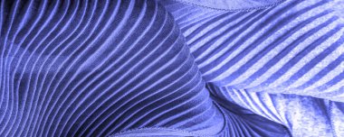 doku, tekstil, kumaş, kumaş, ağ, doku, mavi safir kıvrım kumaş, dalgalanma dalgası