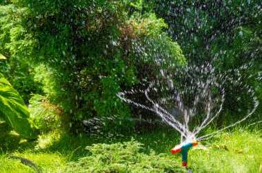 Bahçeni su fıskiyesiyle sulu ve sağlıklı tut. Elle sulamaya gerek kalmadan bitkilerinizi kolayca sulayın. Suyun bahçenizin her yerine eşit olarak dağıtıldığından emin olun..