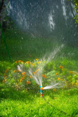 Bahçenizi verimli bir sulama sistemiyle sulu tutun. Sulama işlemini otomatikleştirerek zaman ve efordan tasarruf edin. Suyun tüm bahçeye eşit olarak dağıtıldığından emin olun..