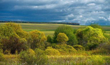 Sonbahar manzara fotoğrafı. Avrupa 'nın düz bitki örtüsü. Çayırlar, vadiler, çalılıklar, açık yaprak döken veya karışık ormanlar. Eylül 'de Meadows