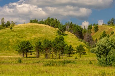 Yaz manzarası, nehir taşkınları, pitoresk kıyılar, kır çiçekli parlak yeşil çimenler, beyaz bulutlu mavi gökyüzü, ılık yaz günleri.,