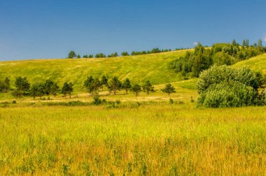 Yaz manzarası, nehir taşkınları, pitoresk kıyılar, kır çiçekli parlak yeşil çimenler, beyaz bulutlu mavi gökyüzü, ılık yaz günleri.,