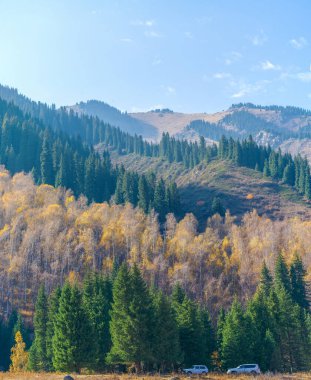 Görkemli dağların arasında büyüyen Tien Shan köknar ağaçlarının ve huş ağaçlarının nefes kesen manzarasına hayran kalarak hem huşu uyandıran hem de ruhu ferahlatan manzaralar yaratın.