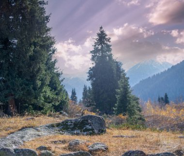 Tien Shan köknar ağaçlarının ve huş ağaçlarının çarpıcı dağ manzaralarının güzelliğini tecrübe edin. Nefes kesici panoramalardan büyülenmene izin ver. Muhteşem doğal manzarayla ruhunu tazele..