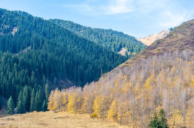 Tien Shan Dağları 'nın engebeli güzelliğini keşfedin. Huş ağacı patikalarında dolaş. Nefes kesici çam ağaçlarının sükunetini hisset. Kayalar arasında heyecan verici bir maceraya atılın..