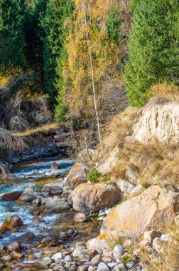 Kendini doğanın senfonisinin sükunetine bırak. Sonbahar kucaklaşmasının güzelliğine dalın. Parlak ormanların arasından süzülen berrak bir nehir keşfedin..