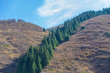 Tien Shan ladin ormanlarının mistik cazibesini tecrübe et. Vahşi doğanın canlı sonbahar renklerinin güzelliğine dalın. Maceranı yeni seviyelere çıkar.