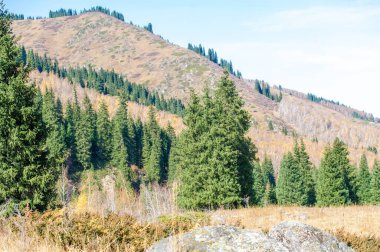 Doğanın senfonisinin güzelliğini parlak sonbahar renkleriyle tecrübe edin. Kendini Tien Shan 'ın çarpıcı renklerine batır. Sonbahar yeşilliklerinin zıt paletiyle büyüleyin duygularınızı.