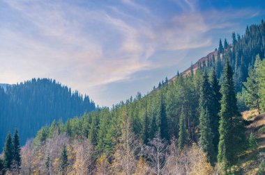 Tien Shan Sıradağları 'nda sonbaharın canlı renklerini tecrübe edin. Kendinizi doğanın orkestra cennetine daldırın. Sonbahar gölgelerinin büyüleyici ve zıt bir paleti.