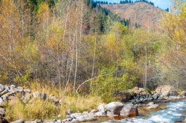 Tien Shan dağlarının nefes kesici güzelliğini keşfedin. Bakir nehrin yumuşak akışını dinlerken sükuneti hissedin. Etrafın yemyeşil ormanlarla çevrili olacak.