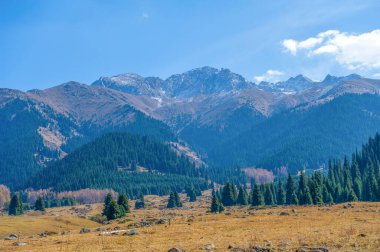 Kendinizi Tien Shan Dağlarının çarpıcı sonbahar güzelliğine daldırın. Yeşillik içinde dolaş ve renkli çiçeklere hayran ol. Bu dağ yürüyüşü sırasında huzur ve sükuneti hissedin..