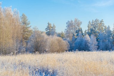 Karla kaplı alanı nefes kesici manzaralarla keşfedin. Parlak mavi gökyüzünün altında sonsuz maceralar keşfedin. Doğanın büyüleyici kollarında kaybolun.