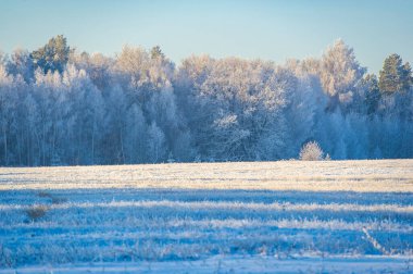 Karla kaplı alanı keşfedin ve büyülenin. Bırak parlak mavi gökyüzü seni sonsuz maceralara götürsün. Kendini doğanın güzelliğine kar taneleriyle daldır..